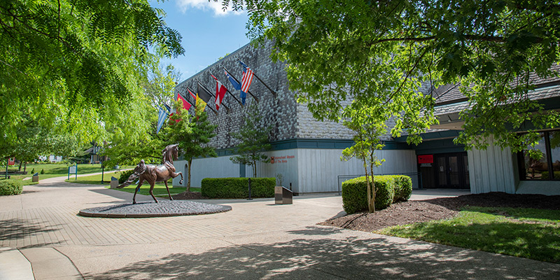 Horse Exhibit