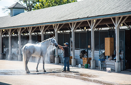 Barn Renovation