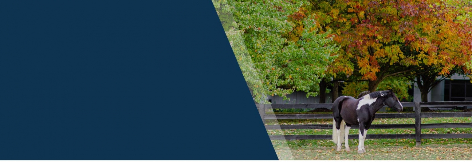 Kentucky Horse Park Foundation Dedicated to enhancing, expanding, and