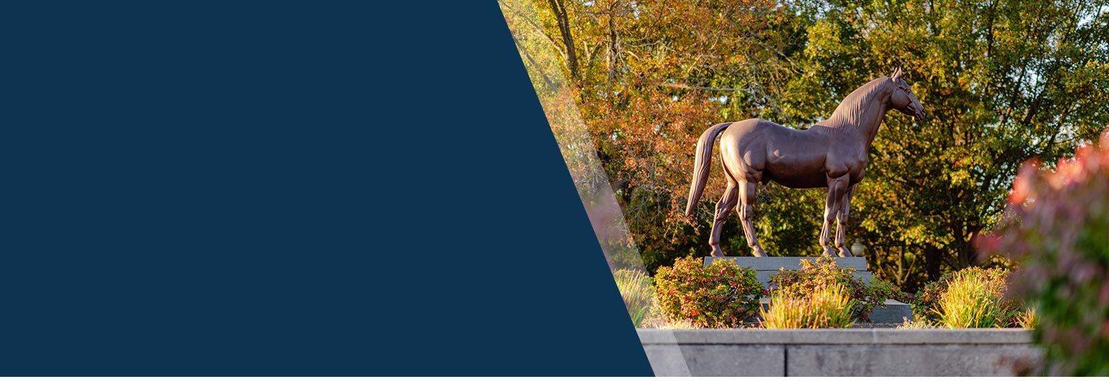 Fall at the Kentucky Horse Park