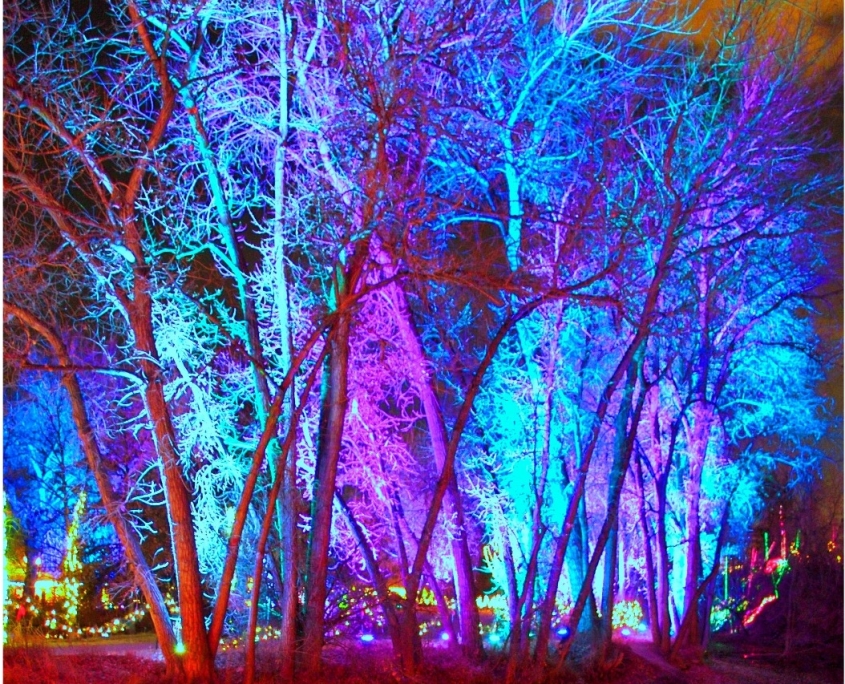 Southern Lights Kentucky Horse Park Foundation