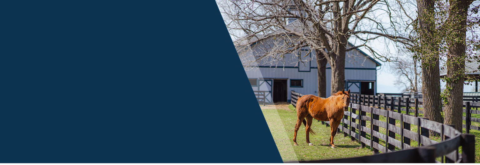 Kentucky Horse Park Foundation Dedicated to enhancing, expanding, and